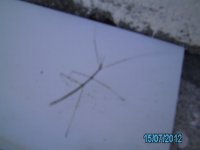 PICT0027.jpg