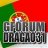 dragao31