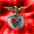 Luis Rodrigues