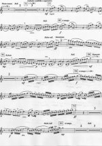Concertpiece Solo Part P.2.jpg