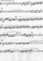 Concertpiece Solo Part P.3.jpg