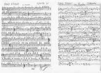 FLAUTA E REQUINTA.jpg