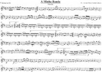 3º Clarinete in Bb.jpg