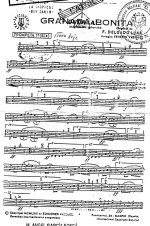 Granada bonita trompetes.jpg